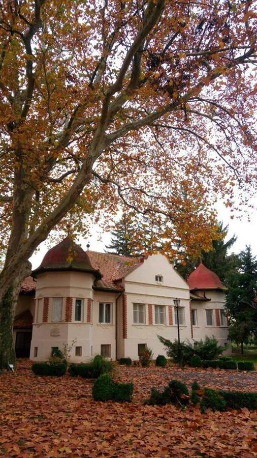 Bed and Breakfast Kastelyszallo Mateszalka Exteriér fotografie